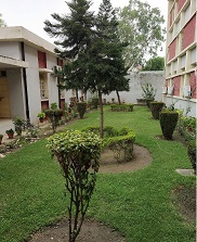 garden 1